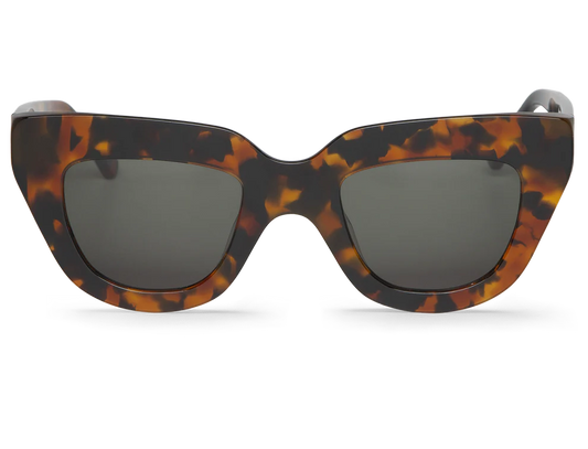 Cheetah tortoise HAVNEN