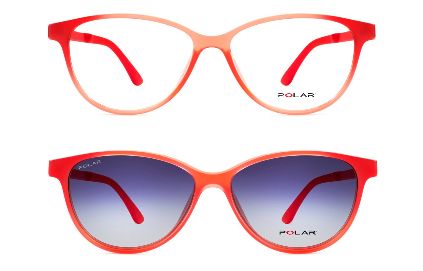 POLAR 404 23