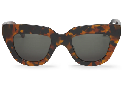 Cheetah tortoise HAVNEN