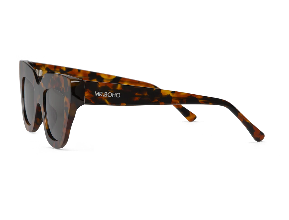 Cheetah tortoise HAVNEN