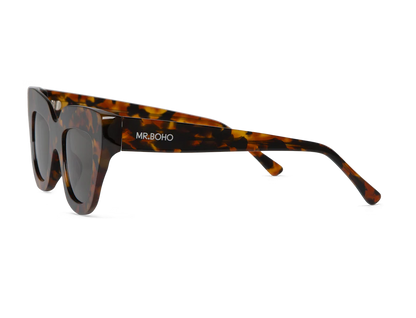 Cheetah tortoise HAVNEN