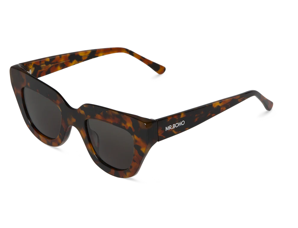 Cheetah tortoise HAVNEN