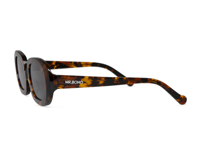 Cheetah tortoise LAURELES