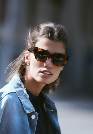 Cheetah tortoise HAVNEN