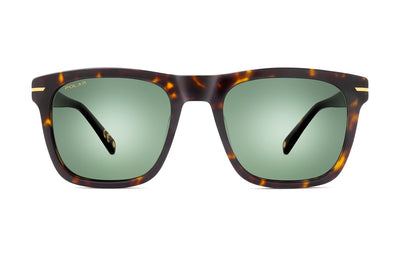 POLAR GOLD 3018 428 HABANA 53*21-145 POL