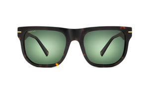 POLAR GOLD 190 428G HABANA 56*20-145 POL