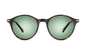 POLAR GOLD 3020 428G HBN 51*20-145 POL