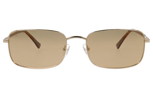 Cione Tardeo  SE11 402P