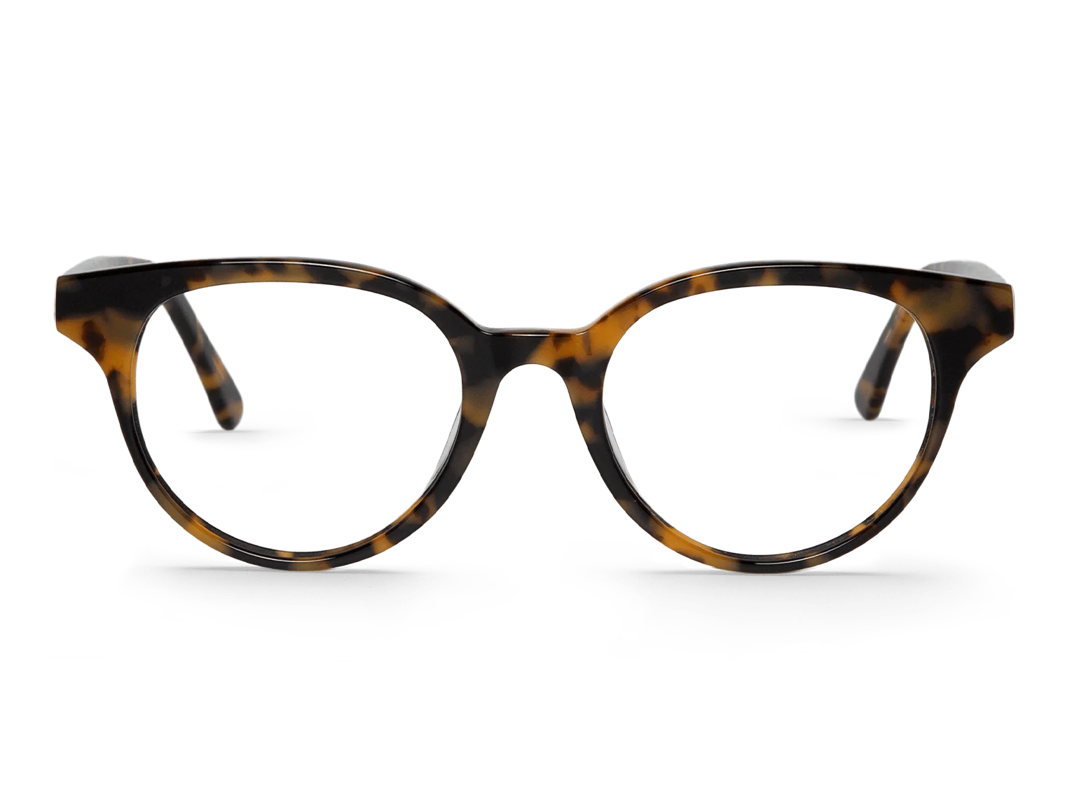 HC Tortoise DANDIEU