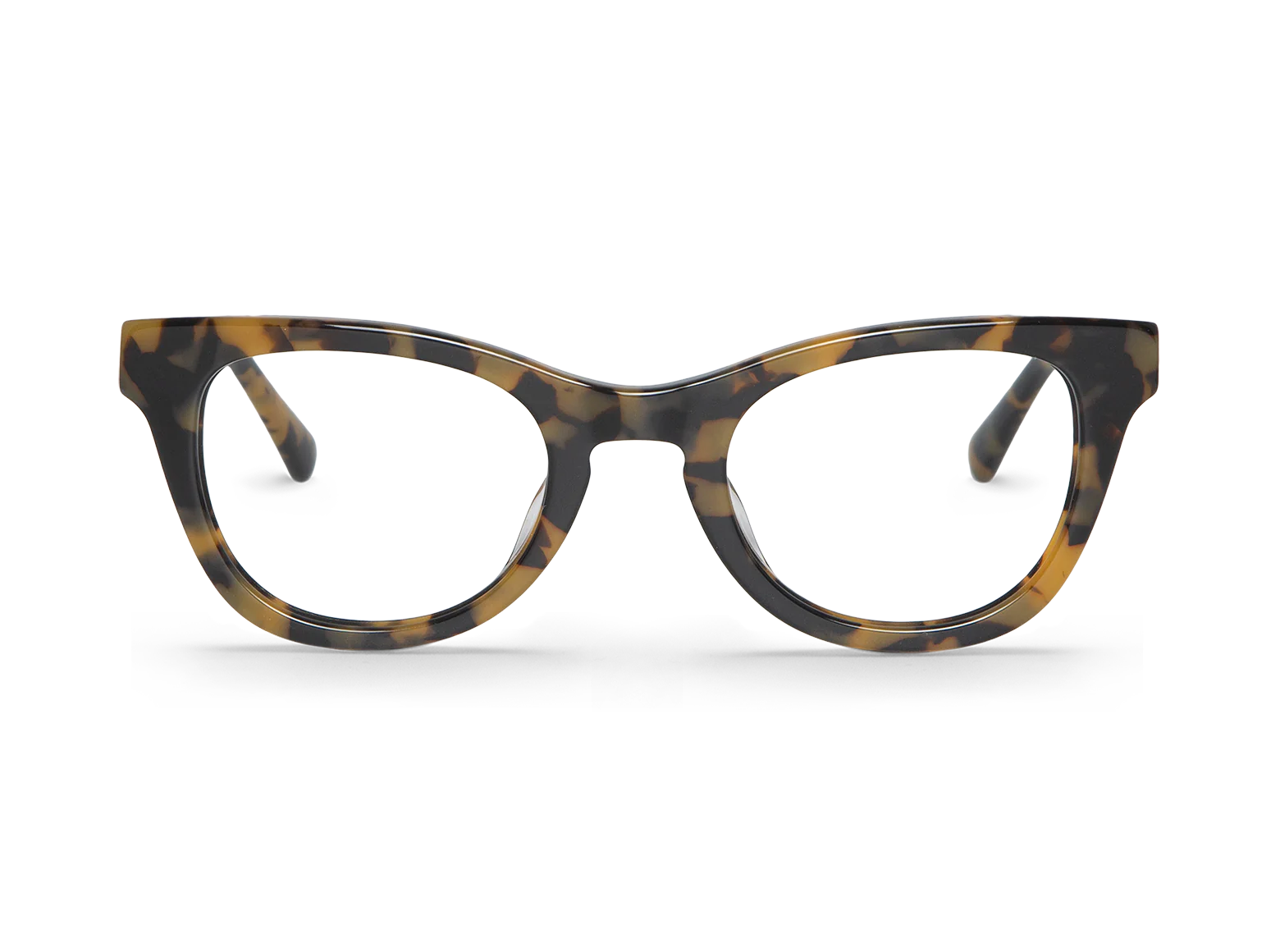 HC Tortoise ESTELLA