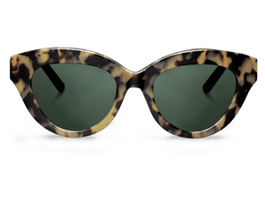 HC Tortoise GRACIA