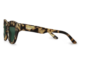 HC Tortoise GRACIA