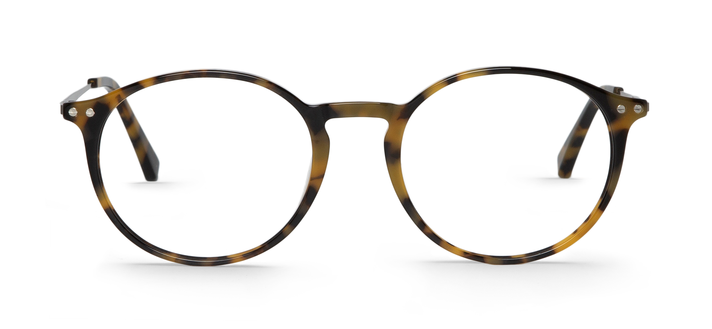 HC Tortoise BATEMAN