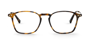 HC Tortoise PARKER